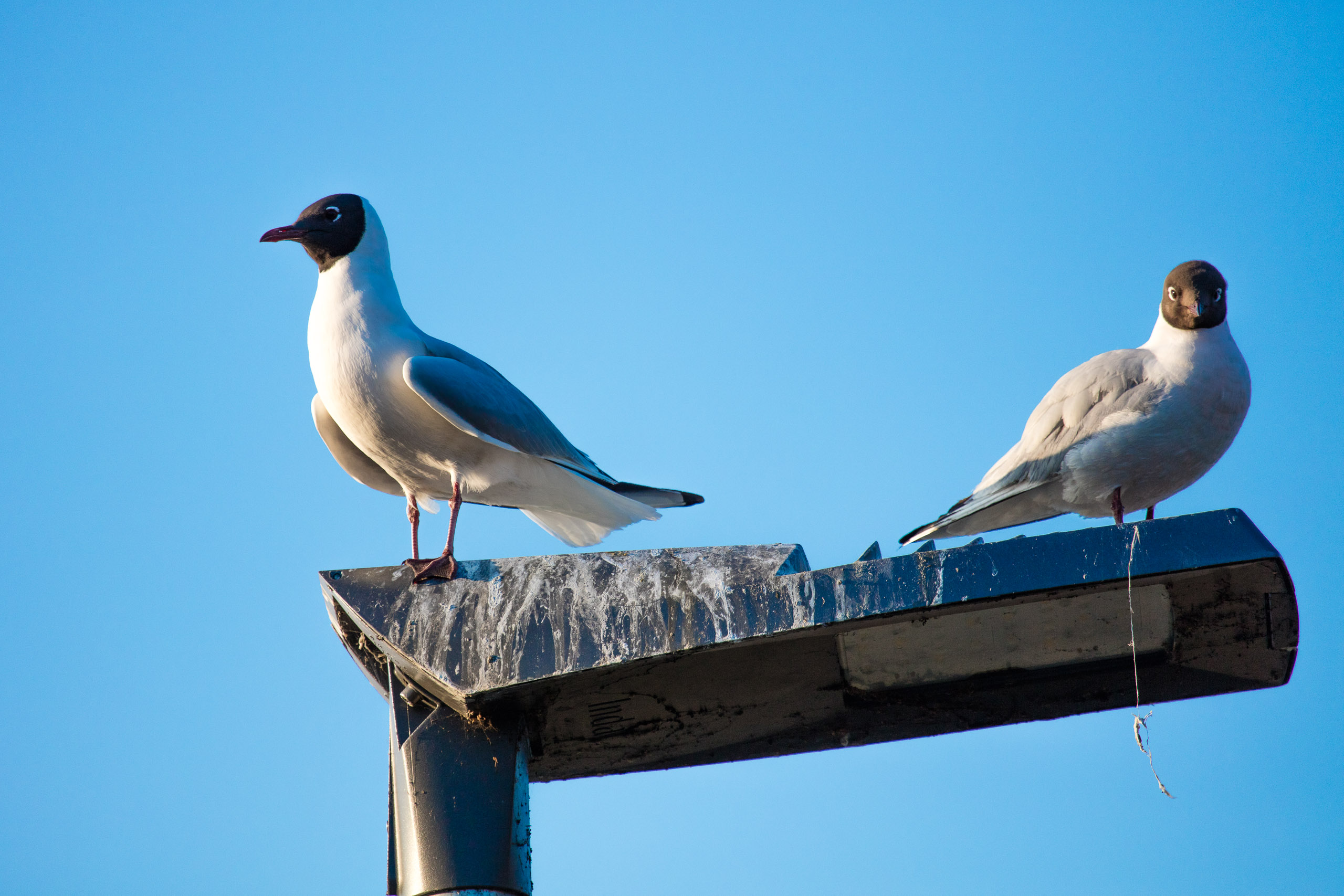 20160319174111 DP017841